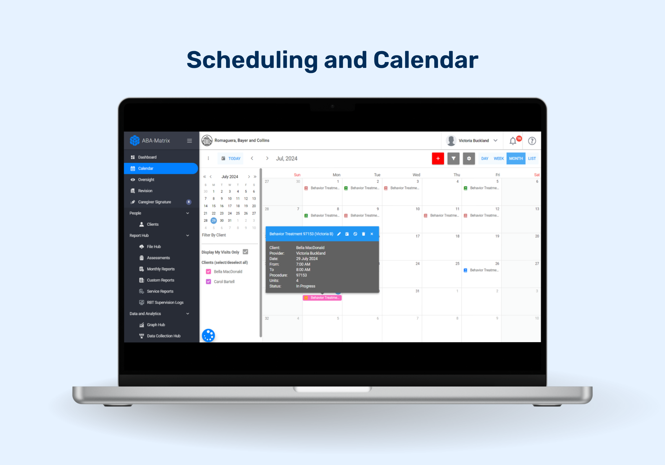 screenshot of ABA Matrix